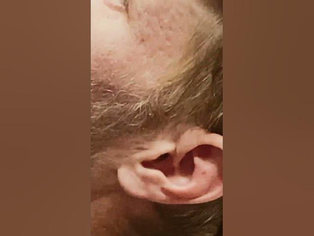 Video thumbnail for July 26, 2024