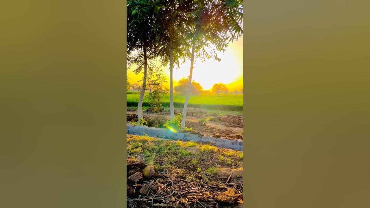 Video thumbnail for #nature butterfly #status #whatsappstatus #reels #omxmedia