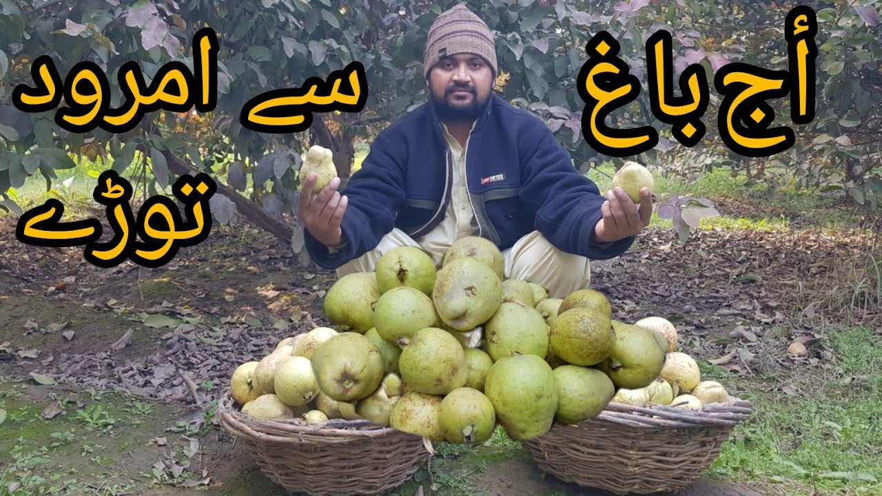 Video thumbnail for Aj Bag sy Amrod Tory jinnat ki Basti