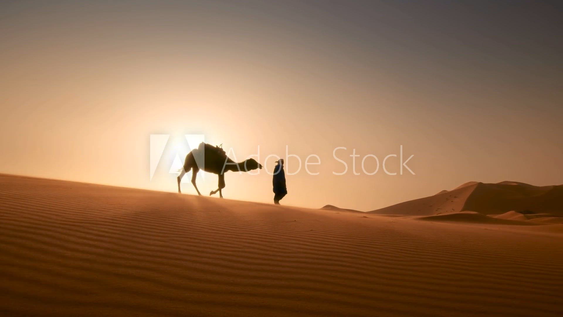 Video thumbnail for AdobeStock_321302639_Video_HD_Preview