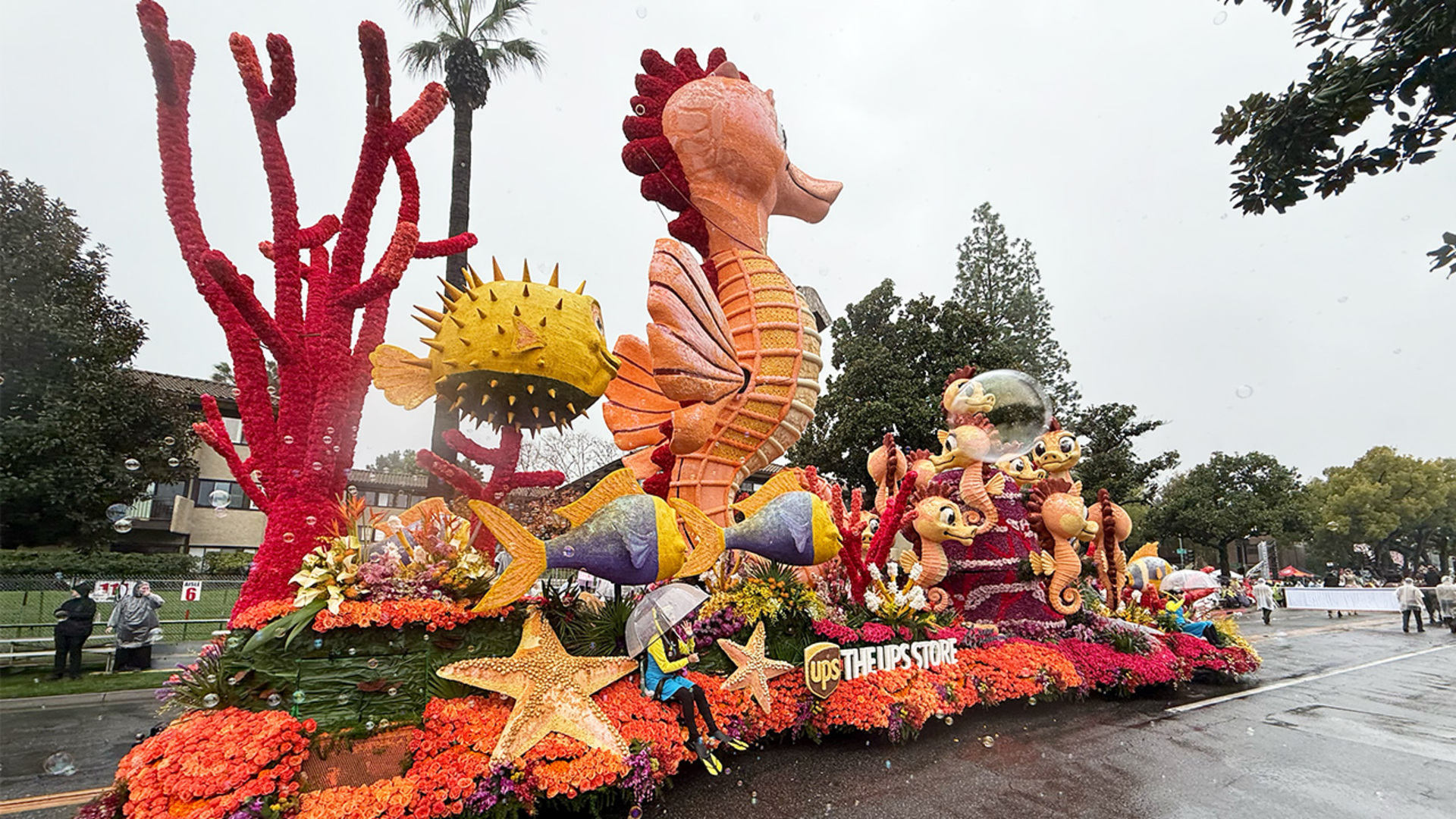 Video thumbnail for Largest animatronic fish - 8.54 m high, 3.08 m wide and 3.74 m deep achieved by The UPS Store