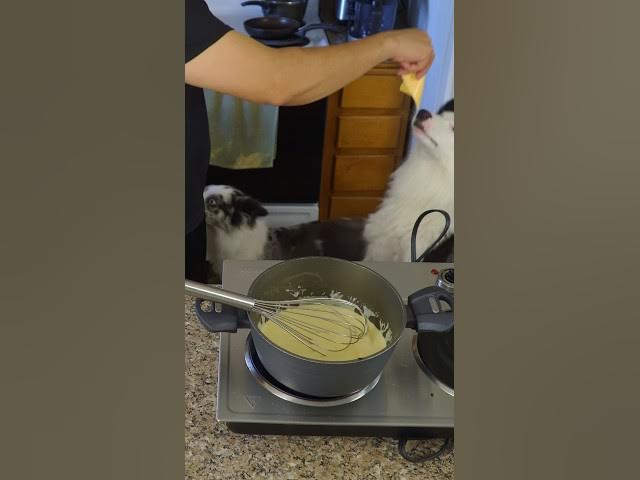 Video thumbnail for Spicy Nachos