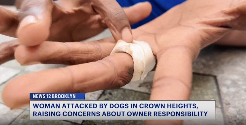 Video thumbnail for Crown Heights woman calls for greater accountability after alleged dog attack