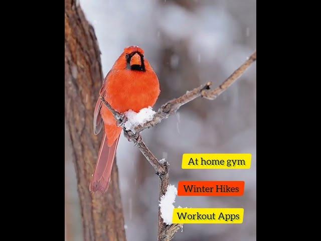 Video thumbnail for Winter Workouts