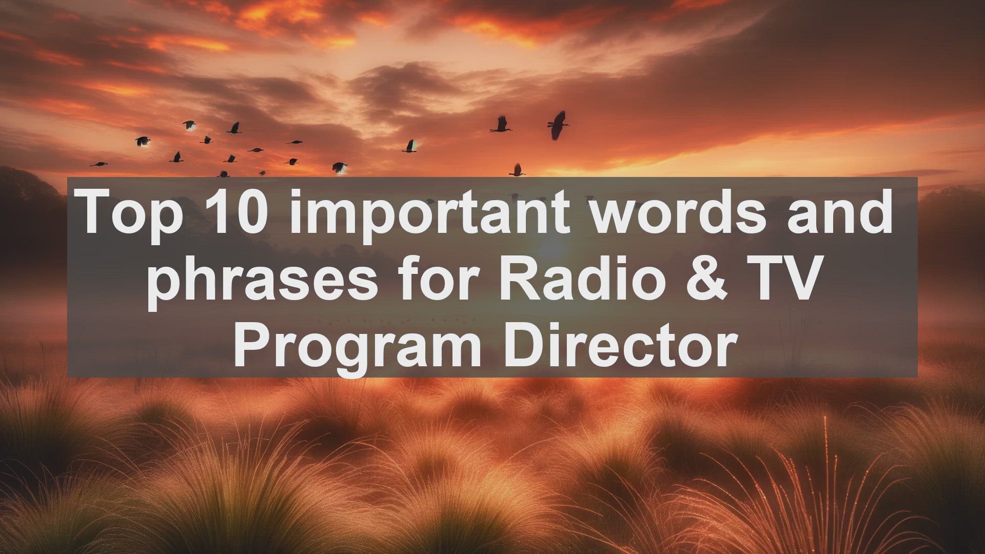 'Video thumbnail for Top 10 important words and phrases for Radio  TV Program Director'