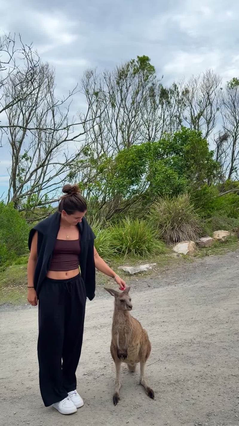 Video thumbnail for First Close Encounter with a Friendly Kangaroo