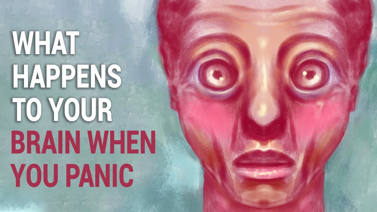 Video thumbnail for Science Explains What Happens to Your Brain When You Panic
