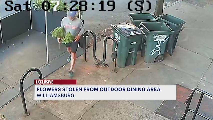 Video thumbnail for Flower thief steals plants from Williamsburg wine bar's outdoor seating area