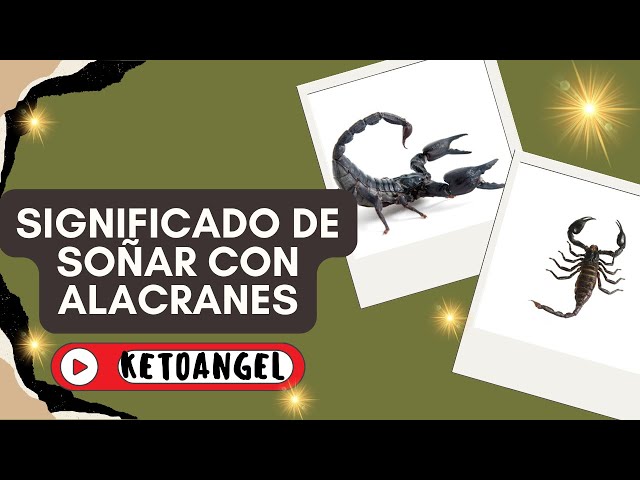 'Video thumbnail for Que significa soñar con alacranes'