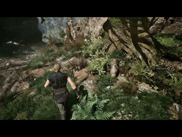 Video thumbnail for Gothic Remake - Chapter 1 Follow Diego: Old Sword, Club and Drax Hunter's Knife Locations