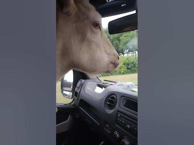 Video thumbnail for 13 July 2025