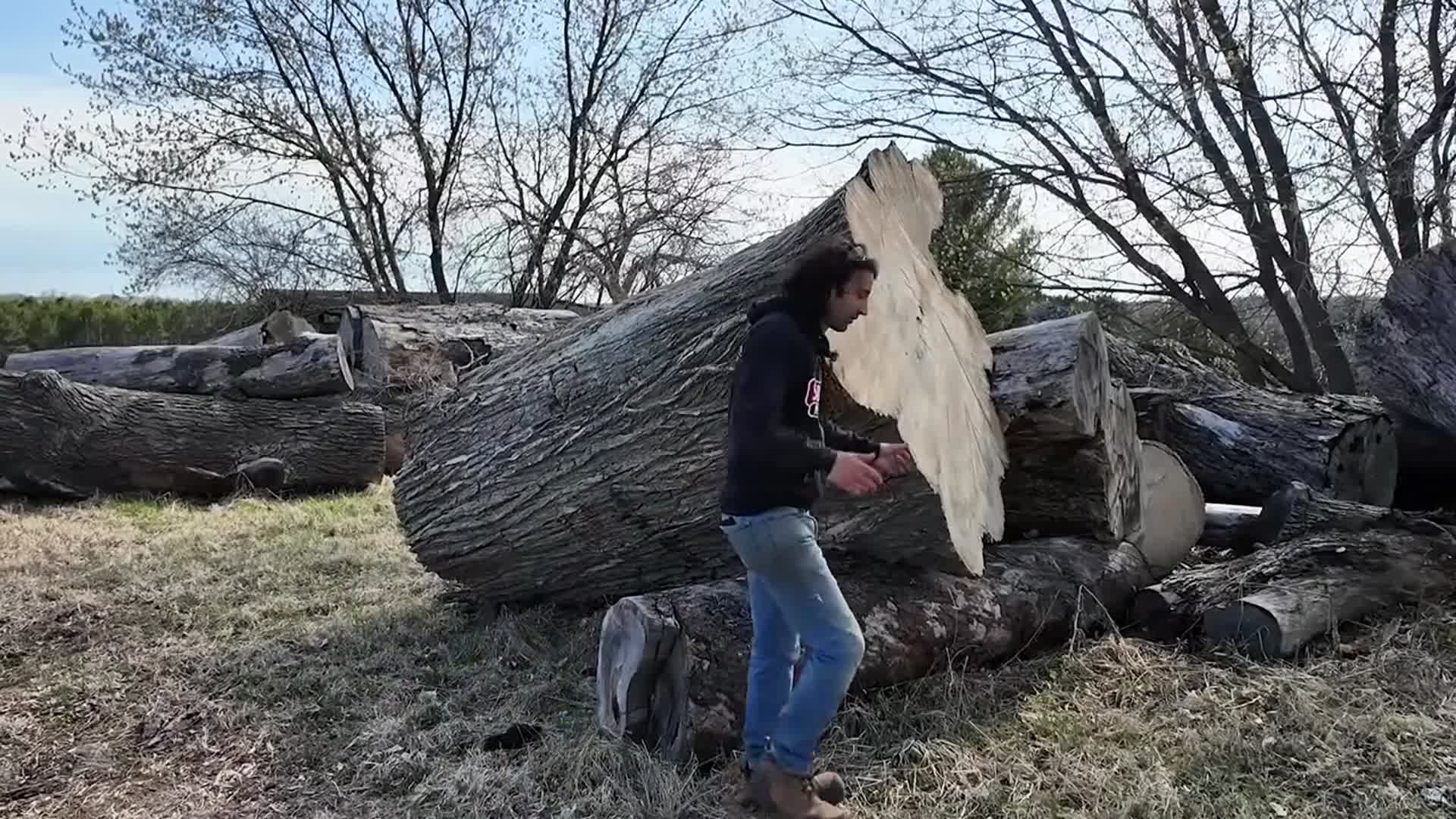 'Video thumbnail for matthew cremona: sawing a massive elm slab table top, revealing grain & imperfections'