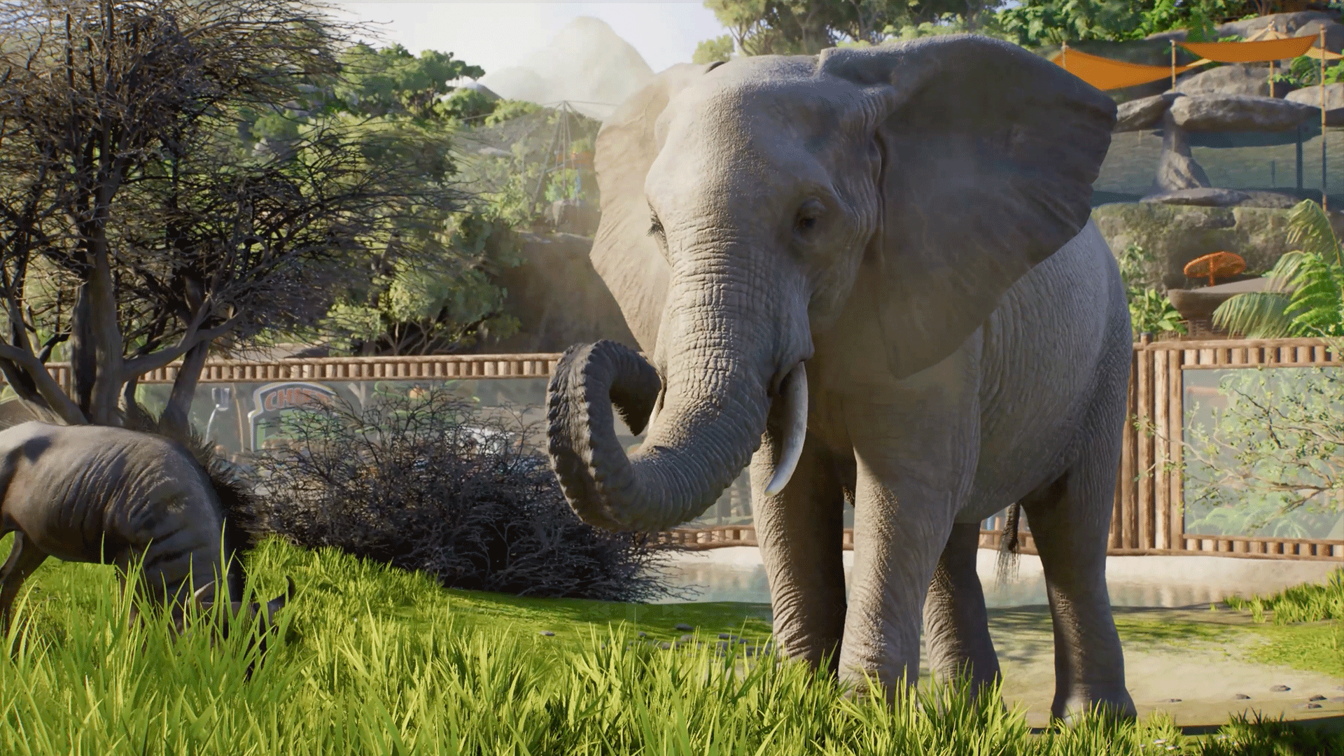 Video thumbnail for Planet Zoo 2 - Official Announcement Trailer