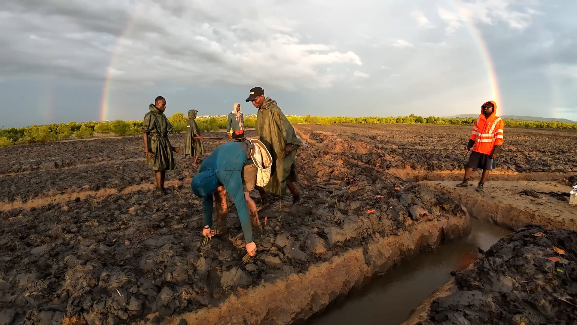 Video thumbnail for Most mangrove trees planted by an individual in 24 hours - 47,460 by Antoine Moses