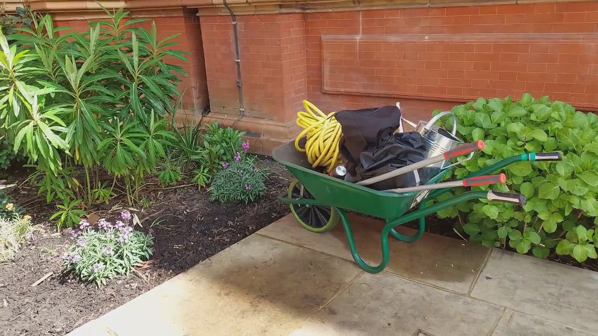 'Video thumbnail for Tips for Growing Onions in Your Backyard'