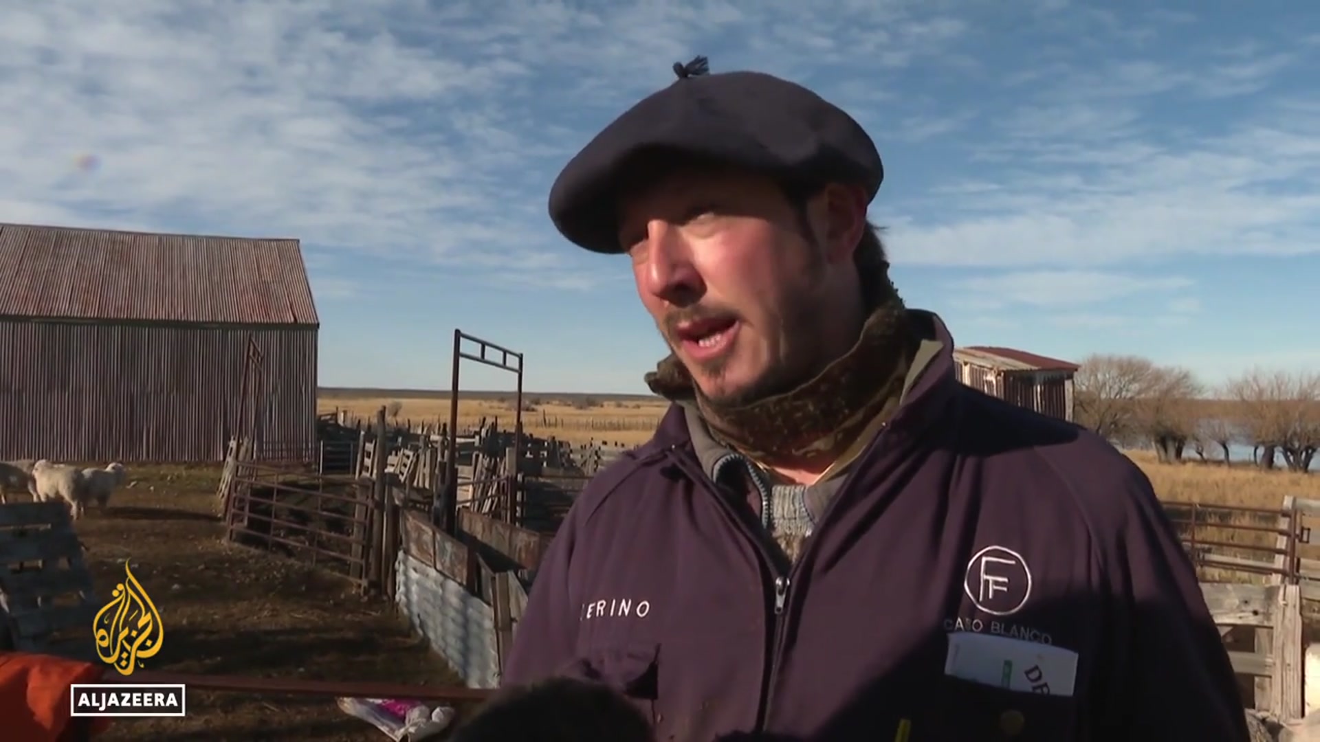'Video thumbnail for Argentina’s Patagonia sees sharp fall in sheep farms amid tough times'