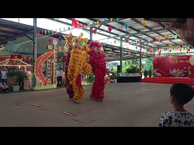Video thumbnail for Múa lân sư rồng ở Tân Đệ