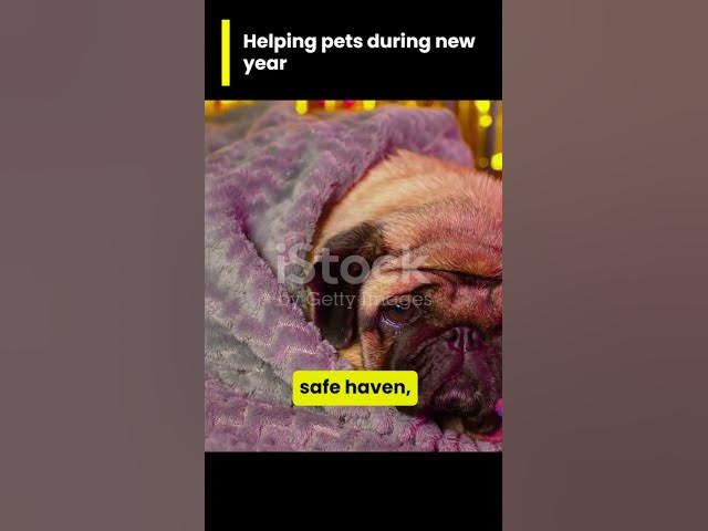 'Video thumbnail for THE NEW YEAR CELEBRATIONS DIFFICULT FOR'