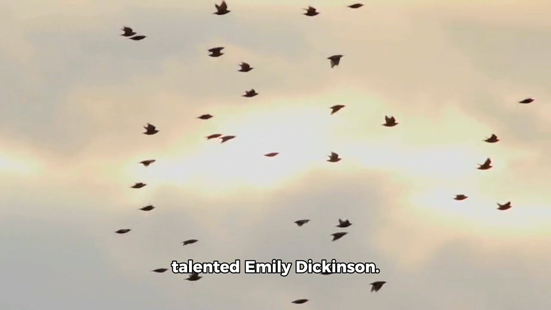 Video thumbnail for Poem about Birds, Penned by the talented Emily Dickinson