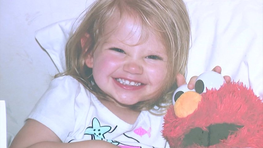Video thumbnail for Kyra’s Law passes the New York State Senate and Assembly