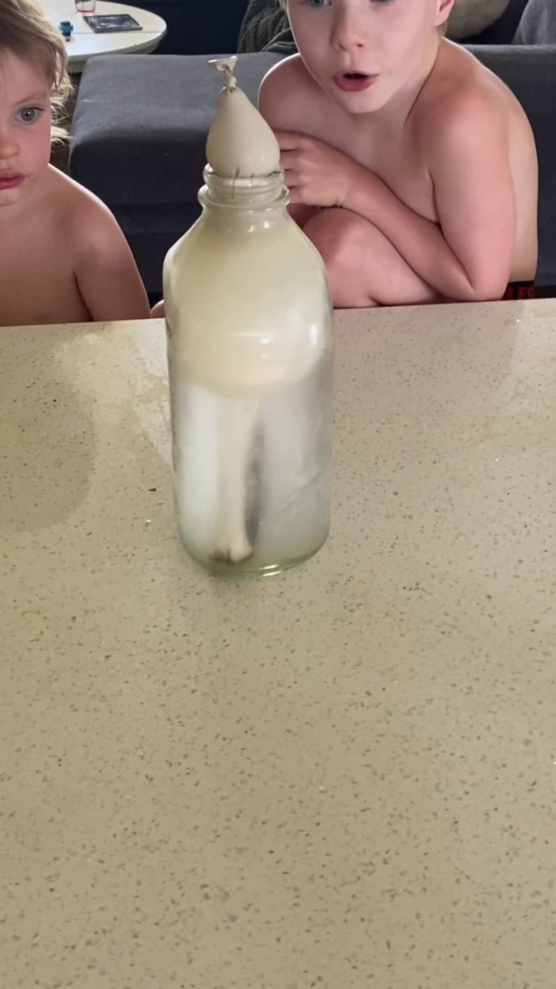 Video thumbnail for Balloon and Bottle Fire Experiment in Homeschool Science