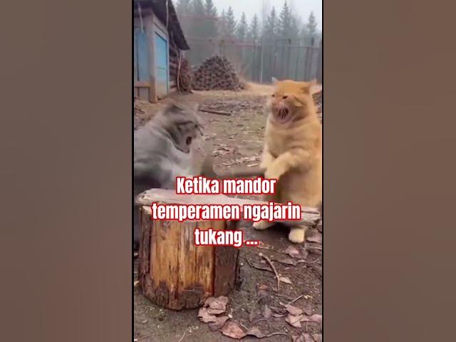 Video thumbnail for 9 Januari 2026