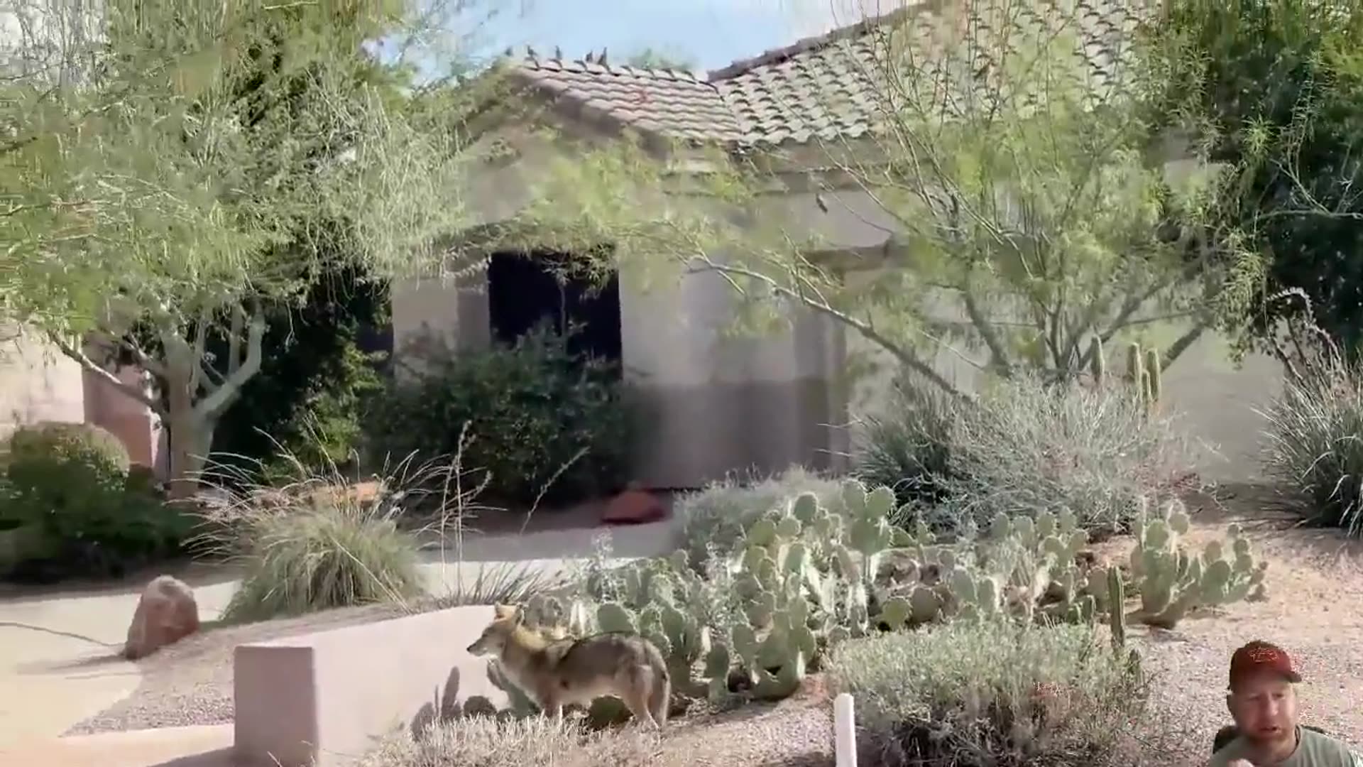 'Video thumbnail for Evictions in Arizona Trojan Horse For Housing Crisis!?!'