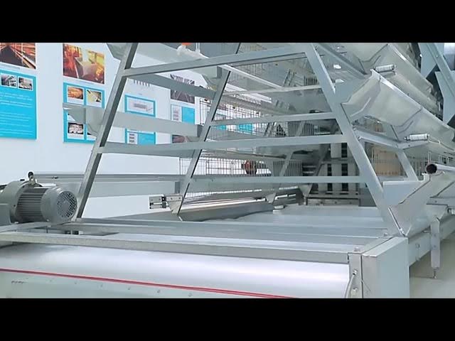 Video thumbnail for automatic layer Cage