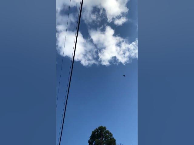 Video thumbnail for February 6, 2024