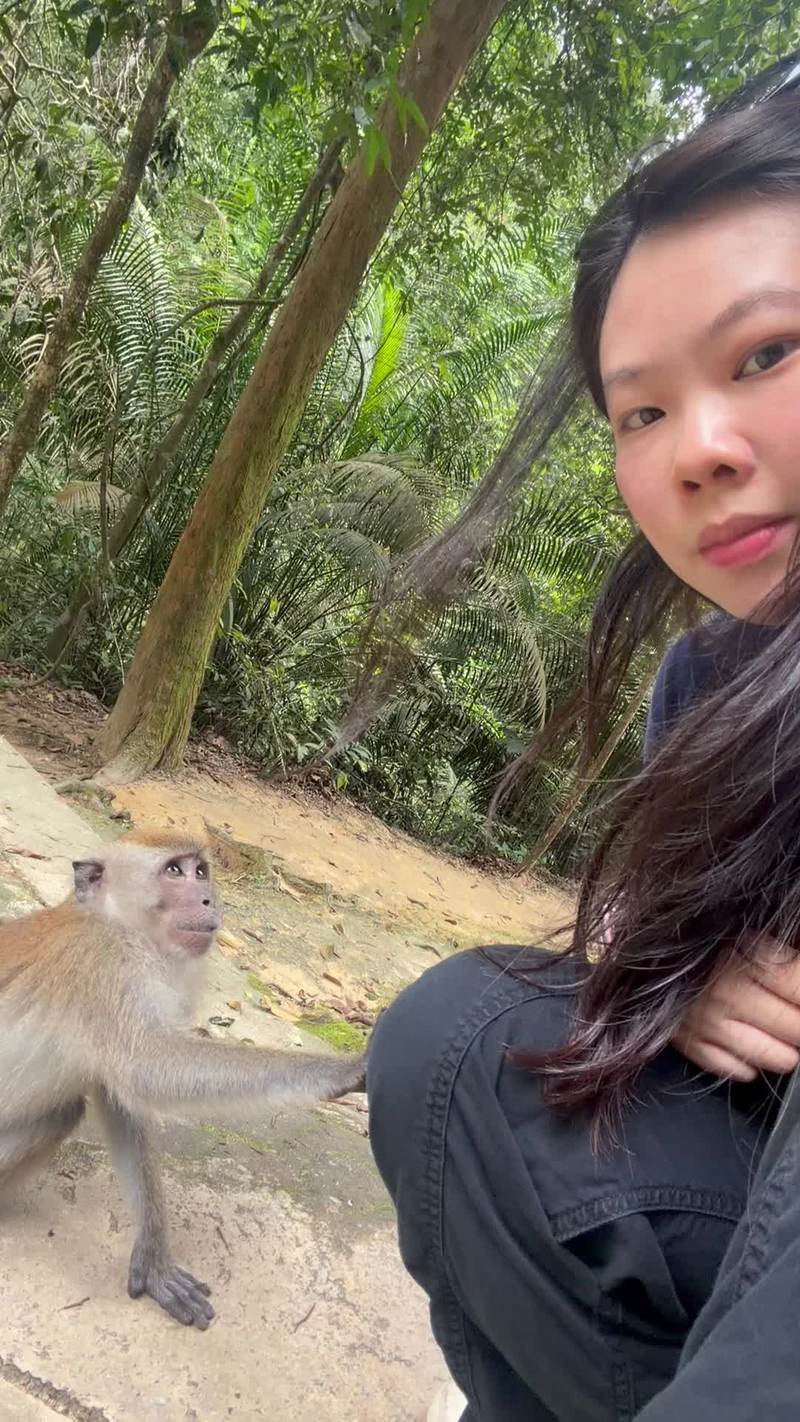 Video thumbnail for Curious Monkey Plays with Hair and Offers a Gentle Handshake