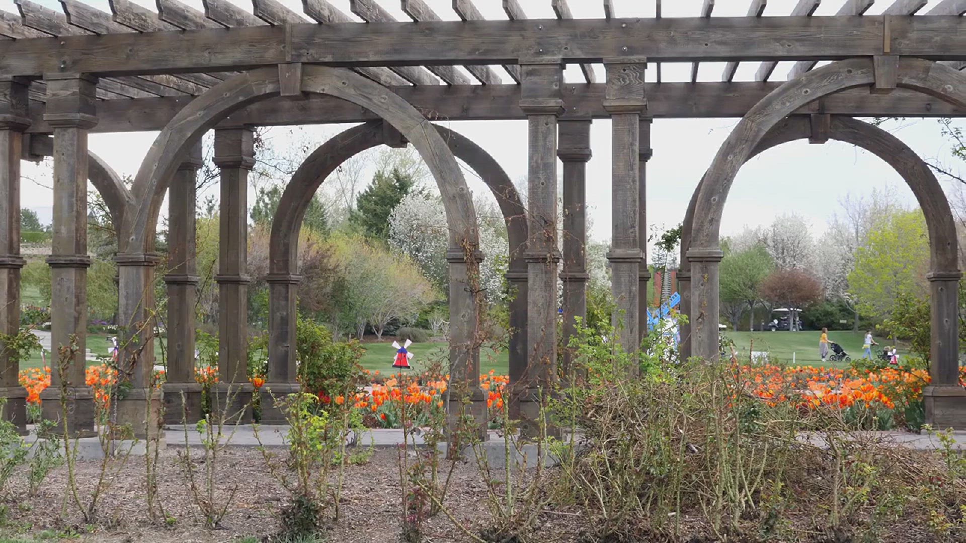 'Video thumbnail for How to Build a Trellis'