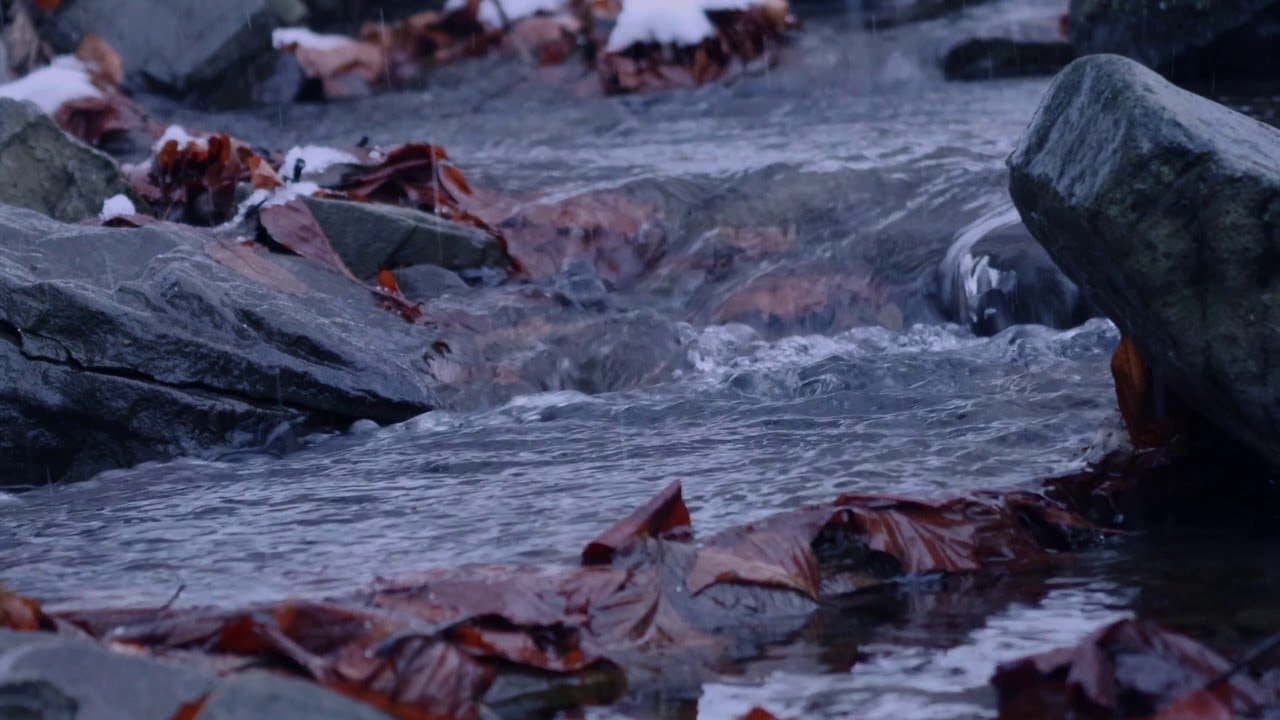 Video thumbnail for Meditation Deep Sleep Music | Meditation Relax Music | Relaxing Music Sleep | Relax Mind