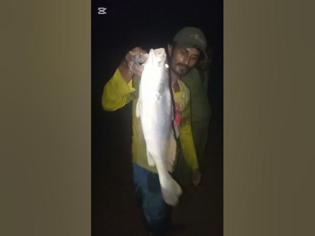 Video thumbnail for hamaliya fishing sowa fish sawachi #fishing