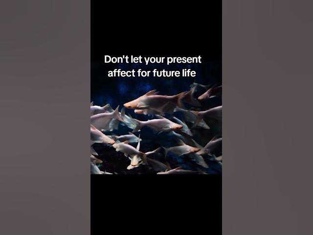 Video thumbnail for 05 September 2025