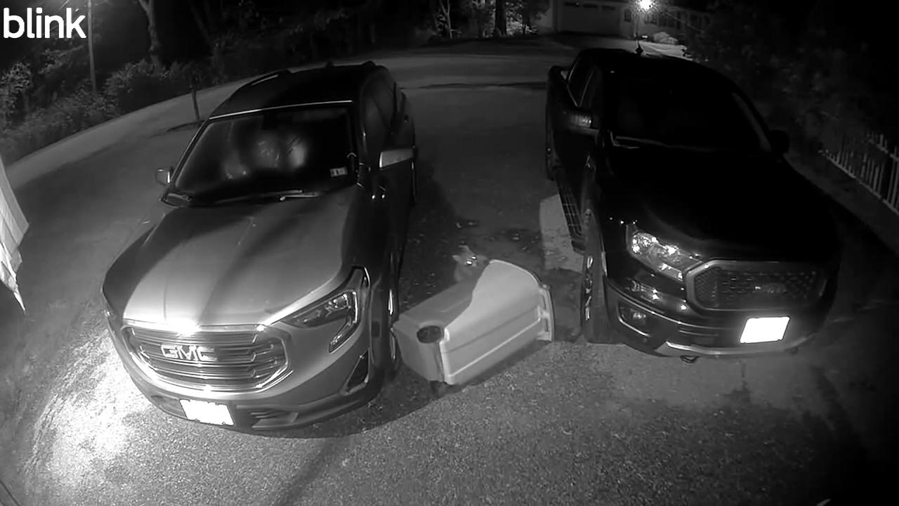 Video thumbnail for Raccoon Drags Trash Can Down Driveway
