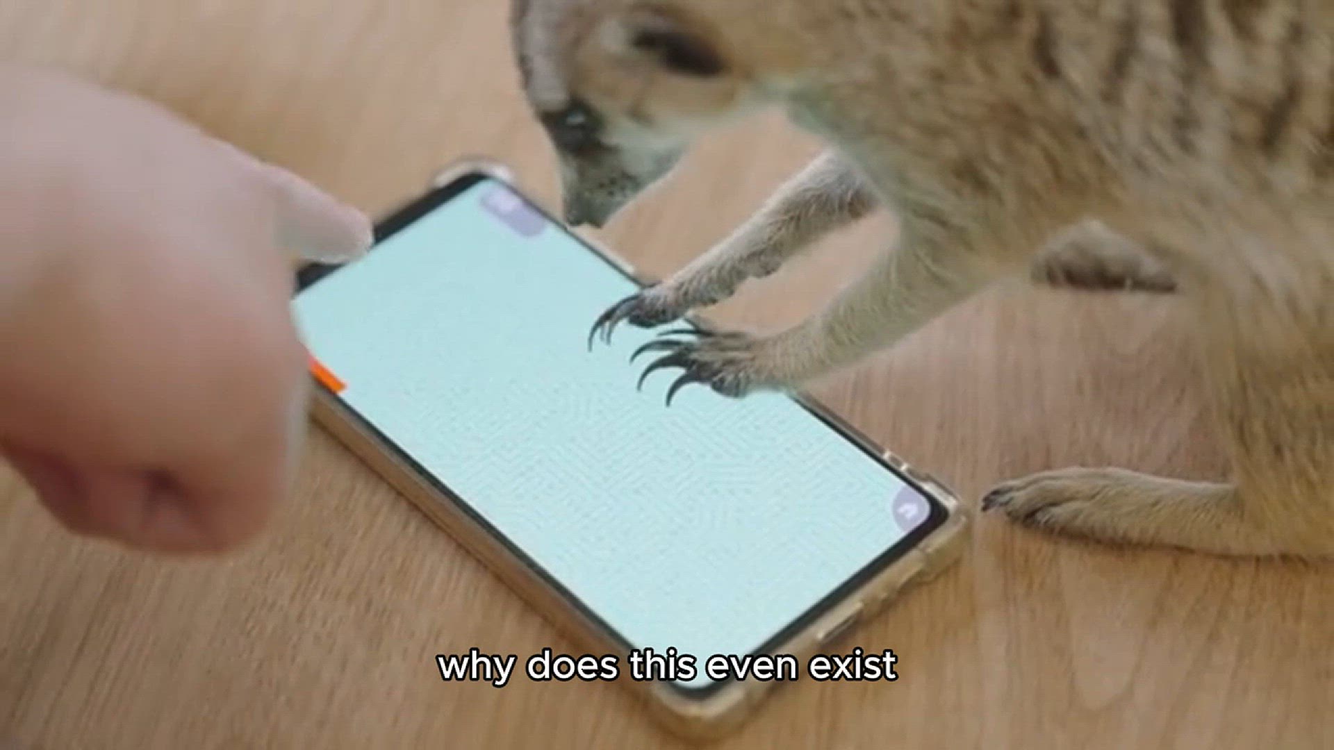 Video thumbnail for BIZARRE INVENTIONS THAT EXISTS!