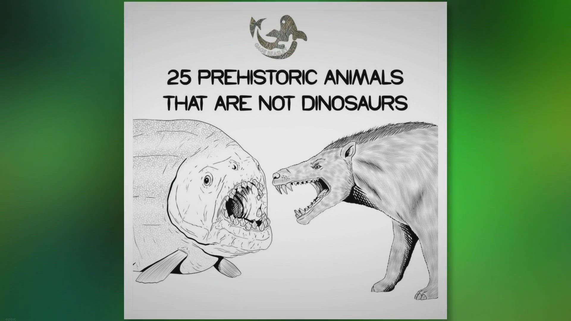 Video thumbnail for Revealing 25 Prehistoric Animals That Are Not Dinosaurs