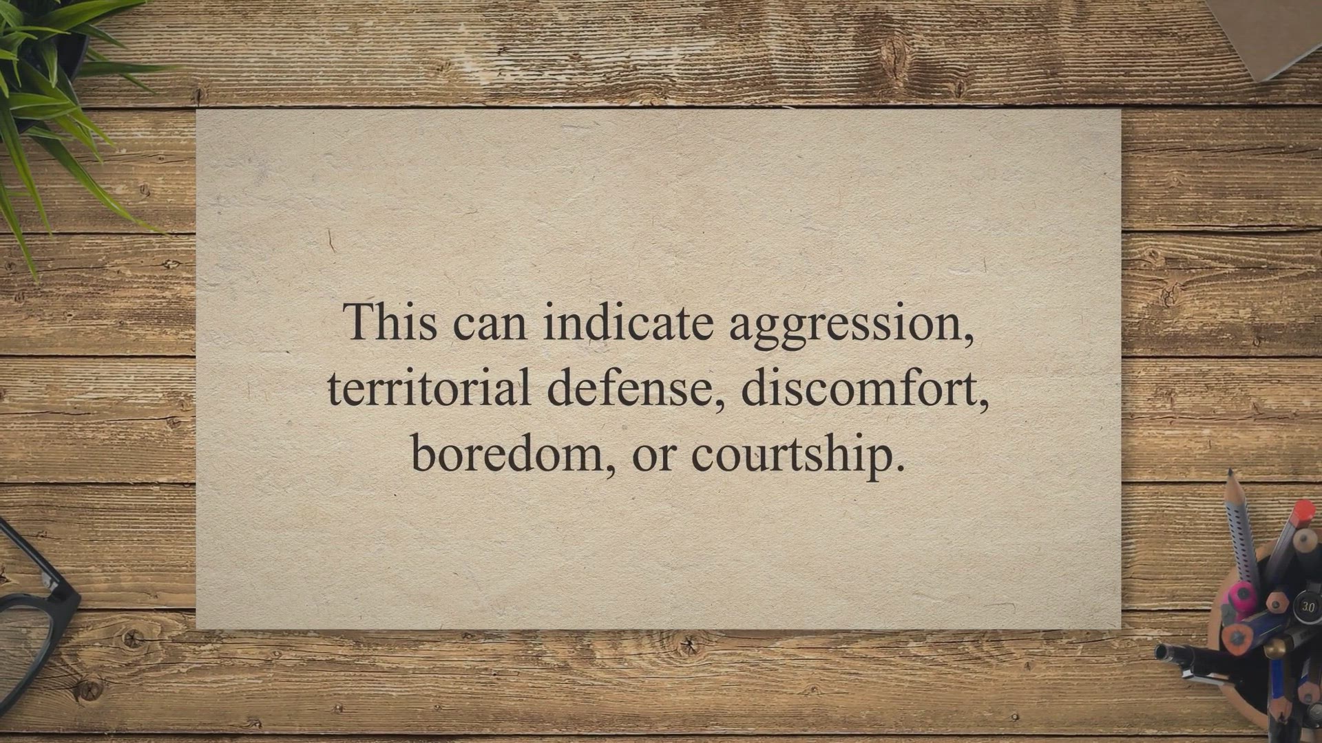 Video thumbnail for What Does It Mean When a Betta Fish Flares Its Gills at You?