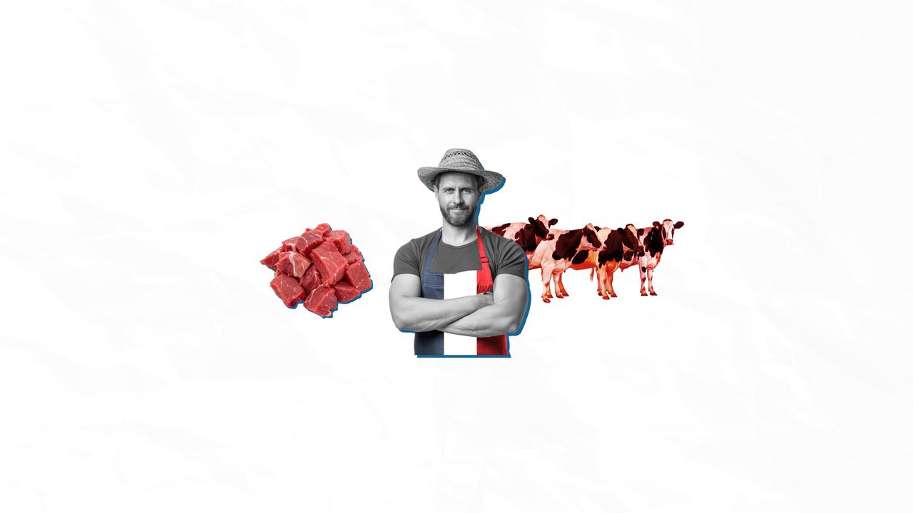 Video thumbnail for Watch: Will Mercosur deal be stopped by the French farmers?