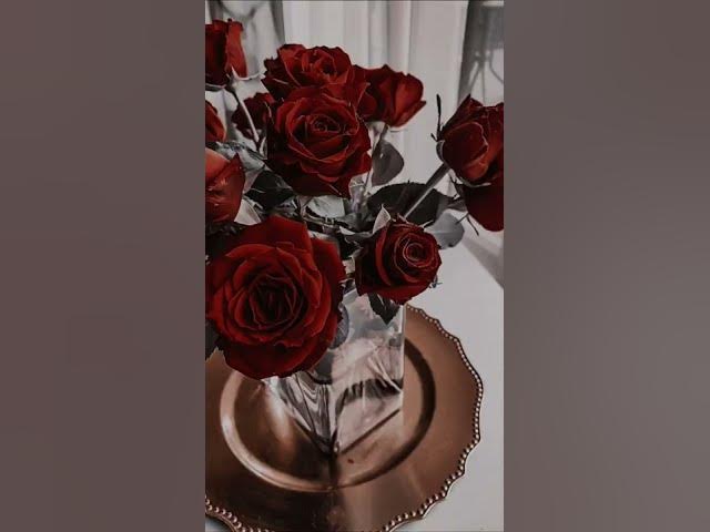 'Video thumbnail for A rosa é uma das flores mais populares no mundo.'