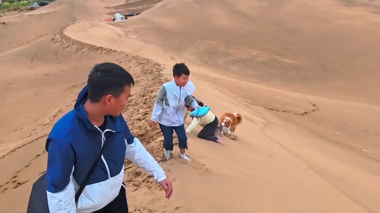 Video thumbnail for Dog Hilariously Stops Woman from Standing Up