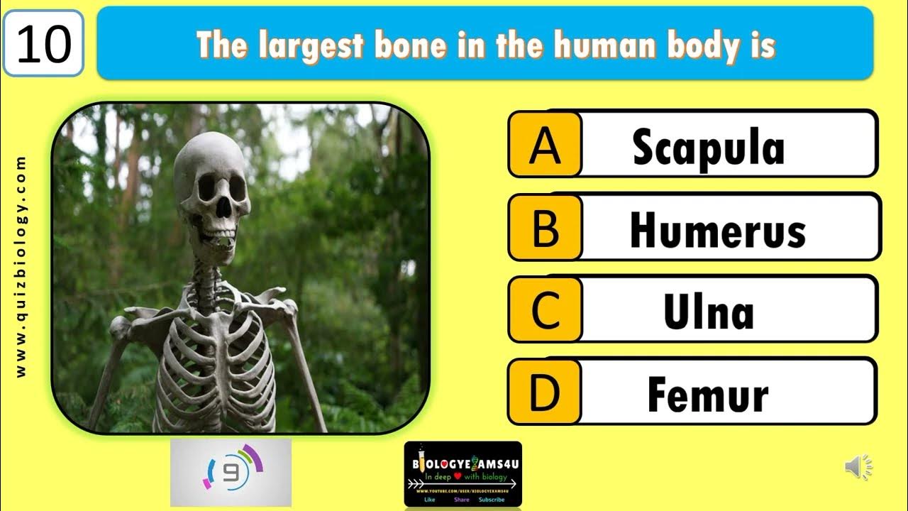 Video thumbnail for "Test Your Human Body Knowledge! Human Body GK Quiz Challenge || How Many Can You Answer?"