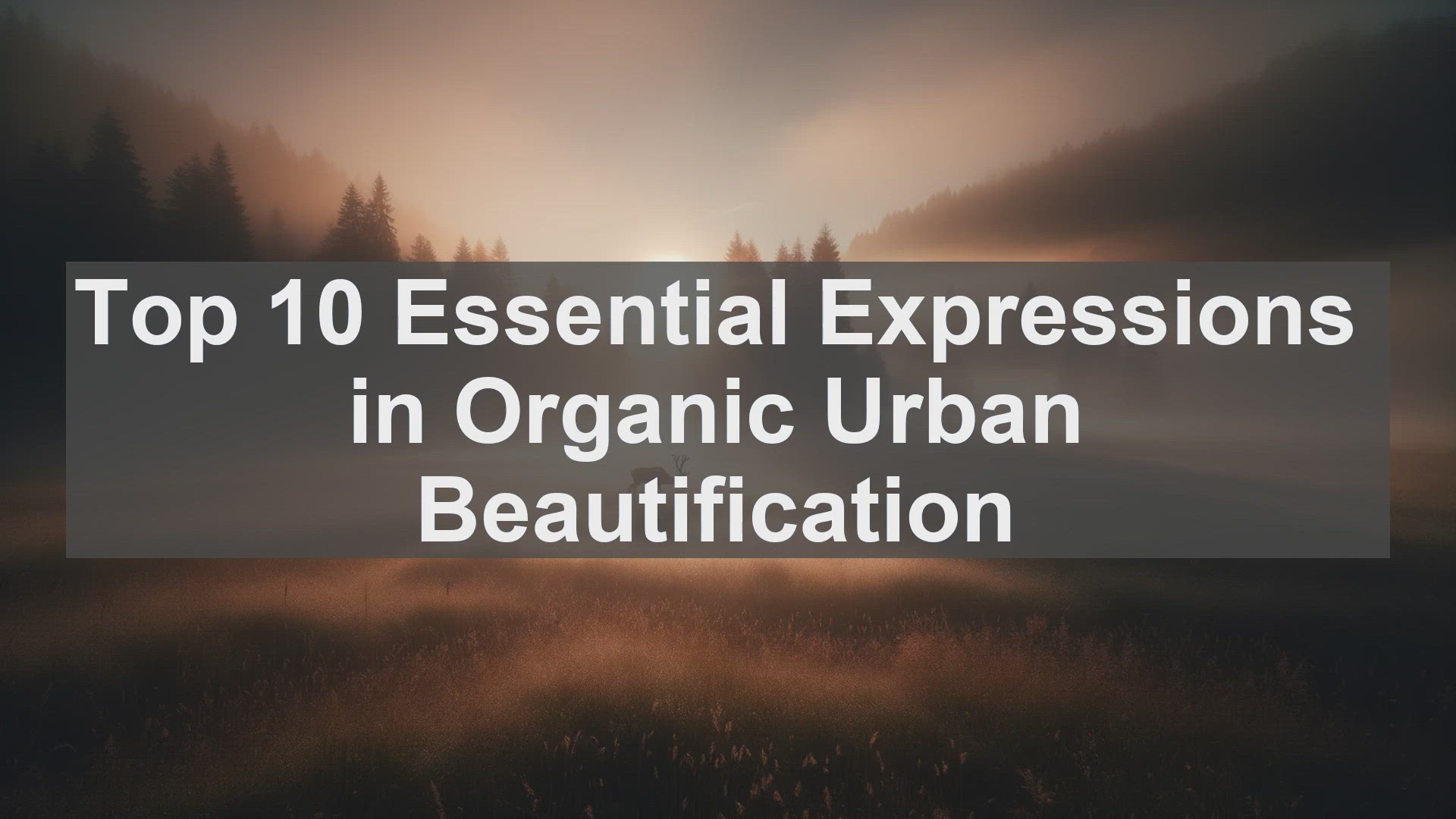 'Video thumbnail for Top 10 Essential Expressions in Organic Urban Beautification'