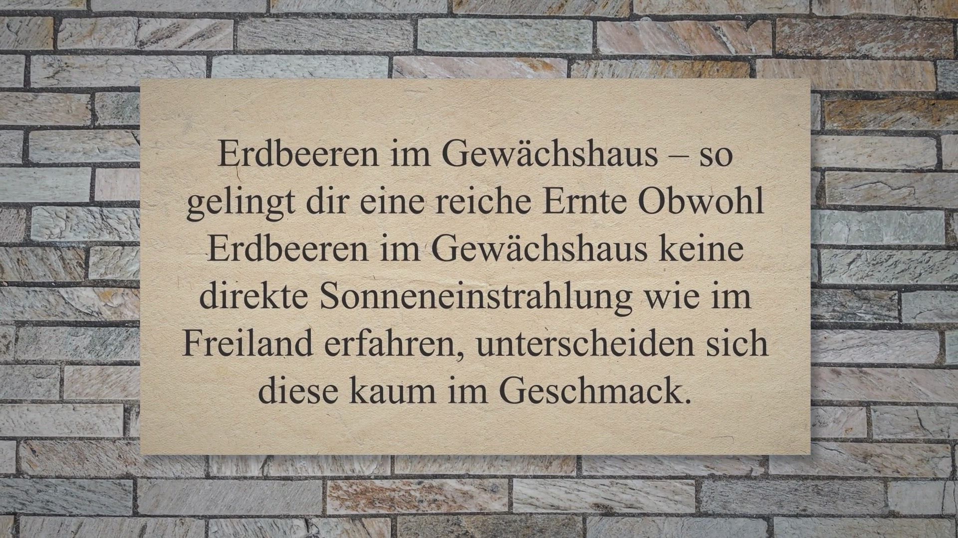 Video thumbnail for Erdbeeren im Gewächshaus – so gelingt dir eine reiche Ernte