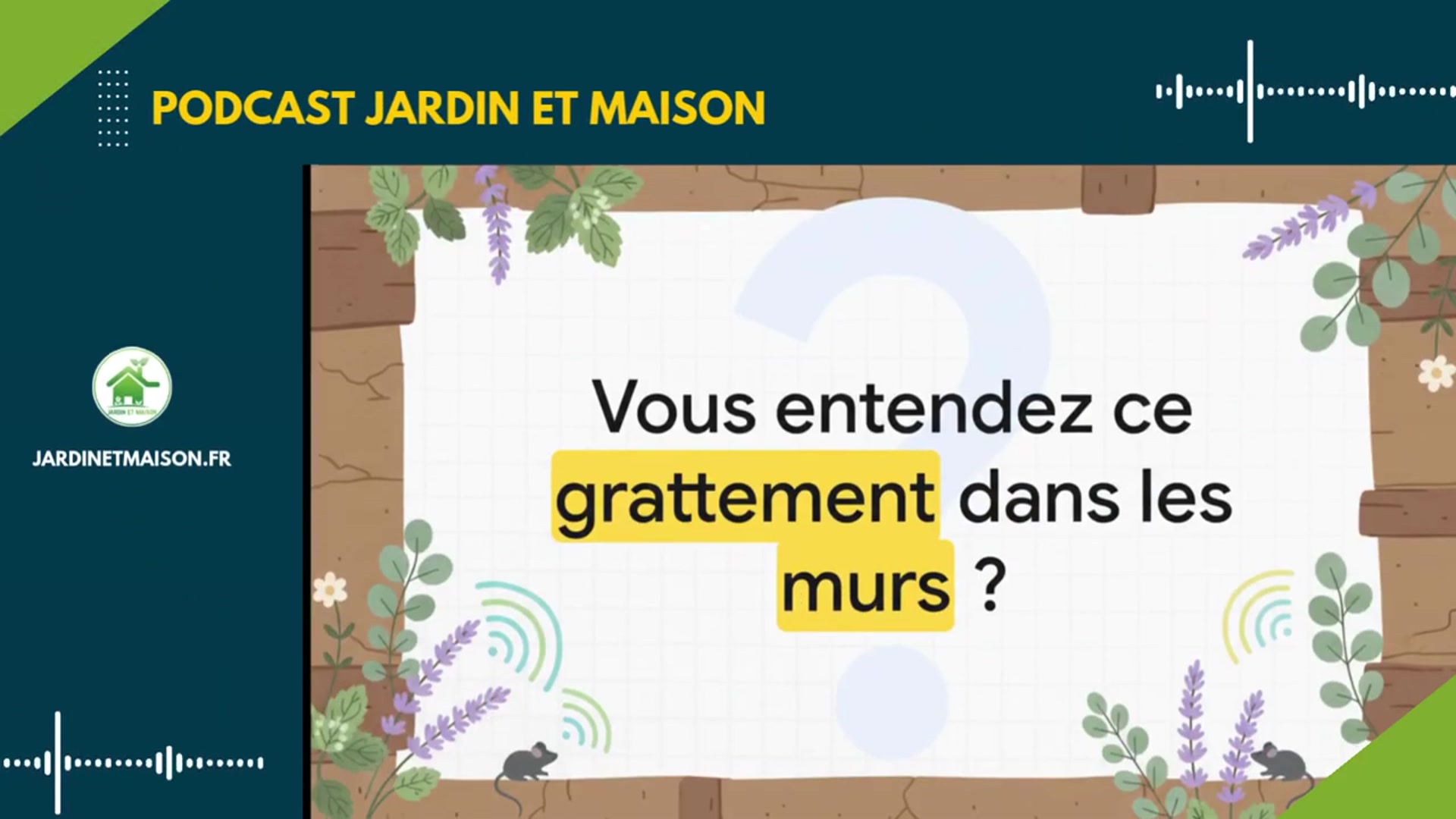 Video thumbnail for Comment Éloigner les SOURIS Définitivement (Sans Poisons) #jardinage #bricolage #naturel