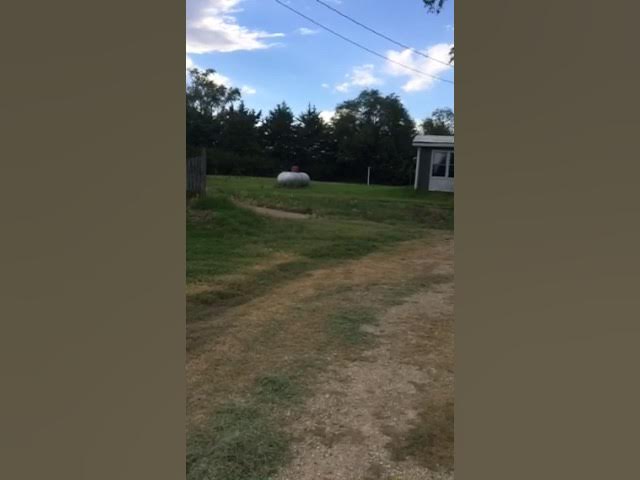 Video thumbnail for The last view of Kansas