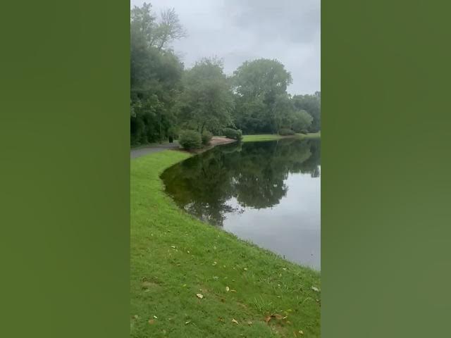 Video thumbnail for August 2, 2025