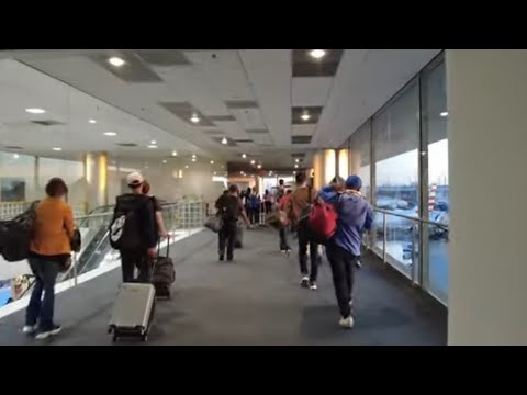 Video thumbnail for Miami Airport International Arrival