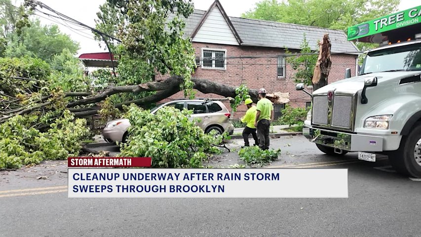 Video thumbnail for Storms leave downed trees and powerlines across Brooklyn