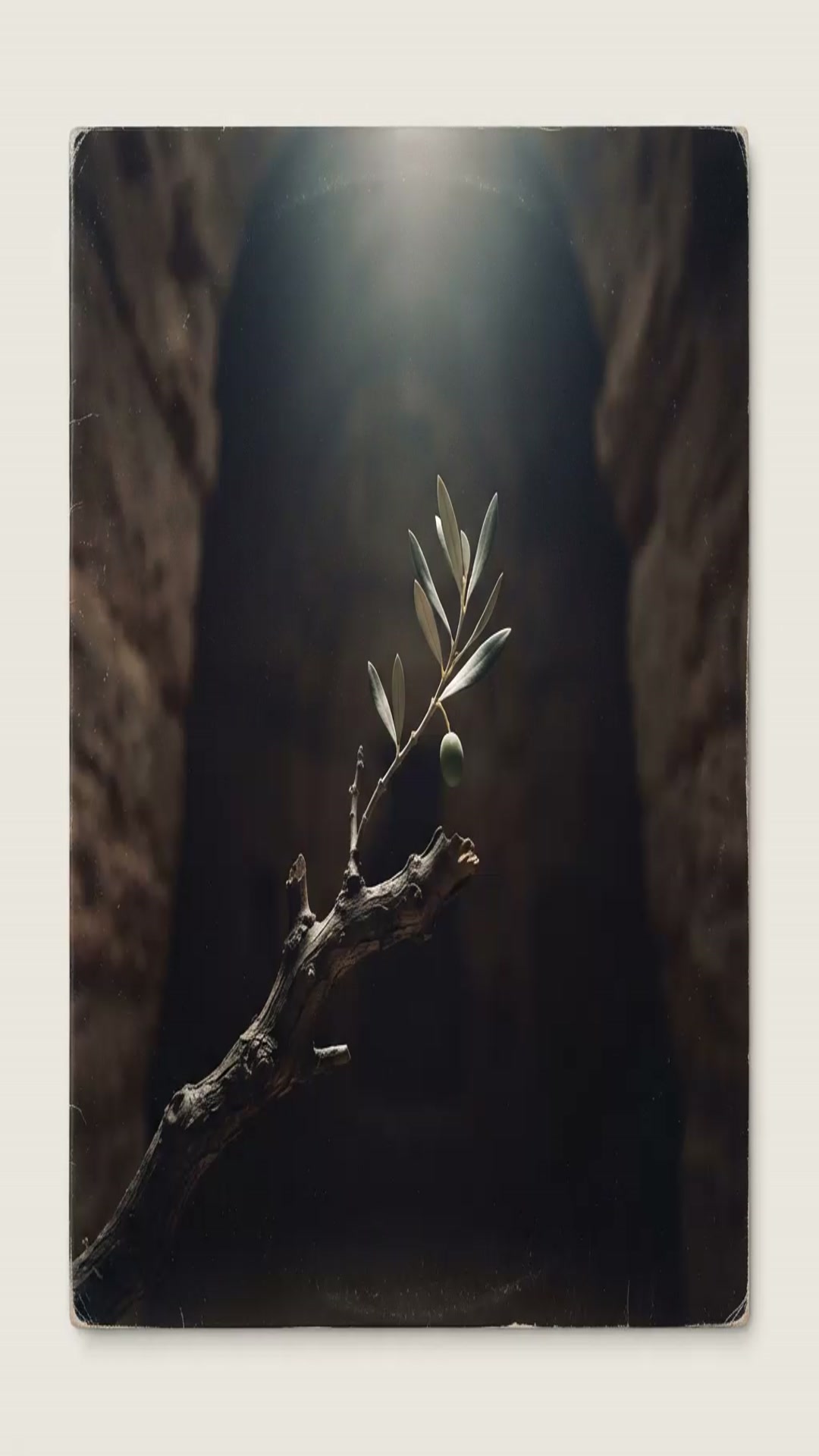 Video thumbnail for 10   The Child Who Reigned